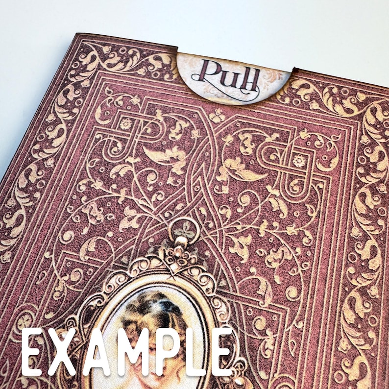 May include: A rectangular paper sleeve with a deep burgundy and gold ornate filigree pattern. A semi-circular tab at the top features the word Pull in dark script. A central oval frame contains a portrait of a person with light hair.
