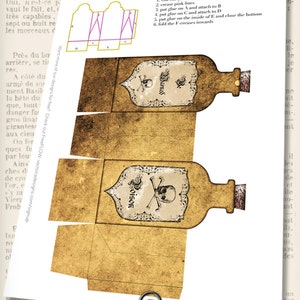 Apothecary Bottle Halloween, Printable Halloween Treat Boxes, Apothecary Bag, Halloween Favor Bags, Party Treats, Halloween Poison 001381 image 2