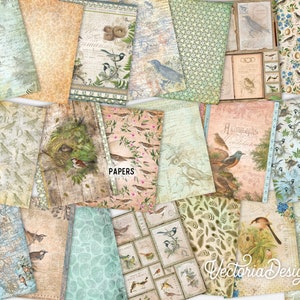 May include: A collection of 16 digital papers featuring a variety of bird and nature themed designs. The papers include patterns of birds, nests, flowers, and leaves in shades of blue, green, brown, and pink. The papers are perfect for scrapbooking, card making, and other paper crafts.