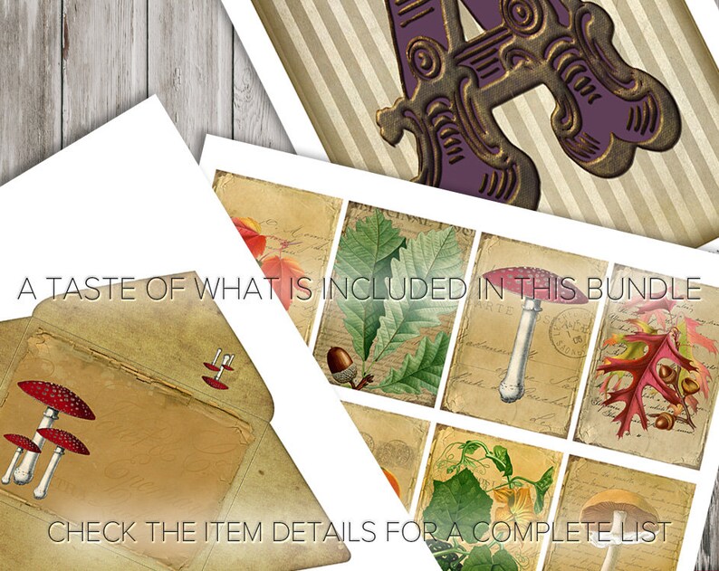 May include: A collection of vintage-style botanical illustrations featuring mushrooms, leaves, and acorns. The image includes an envelope with mushroom illustrations and the text "A TASTE OF WHAT IS INCLUDED IN THIS BUNDLE" and "CHECK THE ITEM DETAILS FOR A COMPLETE LIST".