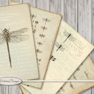 Dragonfly Cards, Printable Paper Cards, Digital Dragonfly Cards, Dragonfly Junk Journal, Digital Gift Tags, Collage Sheets, Dragonfly 001660