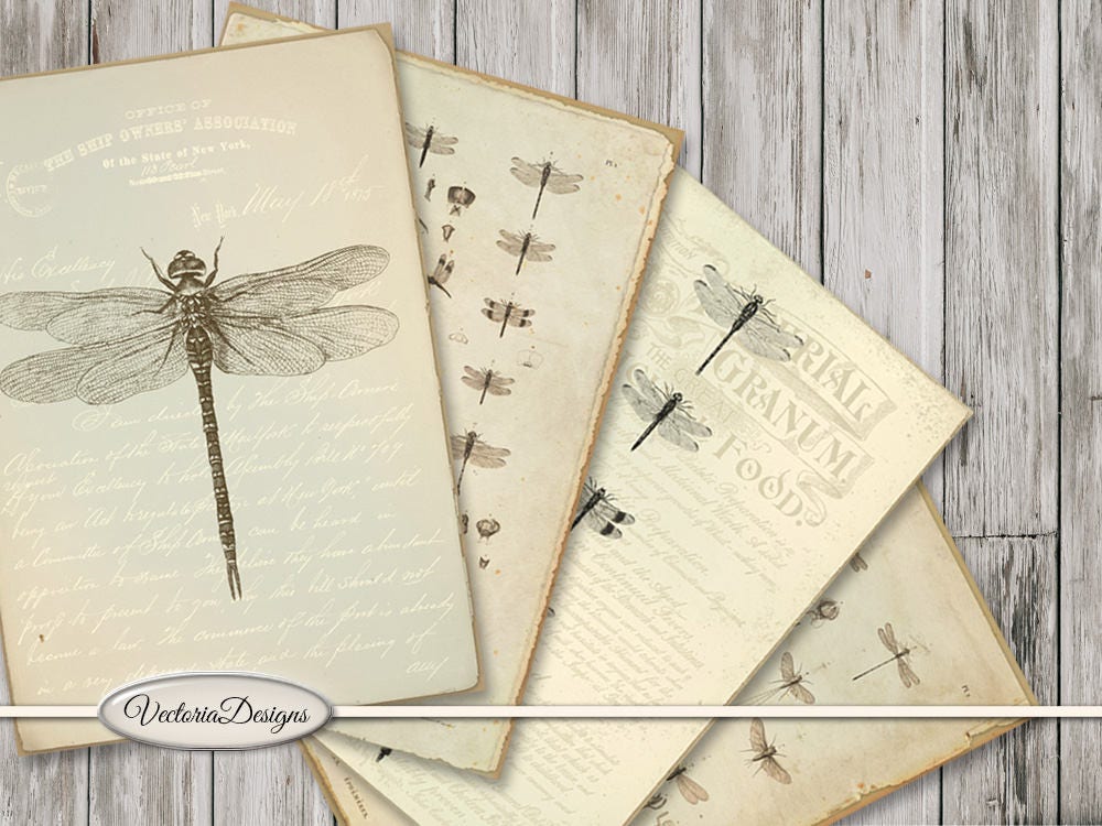 bujo journaling cards journal embellishments tabs Dragonfly digital Ephemera for junkjournas tuck spots tags pockets US Letter size