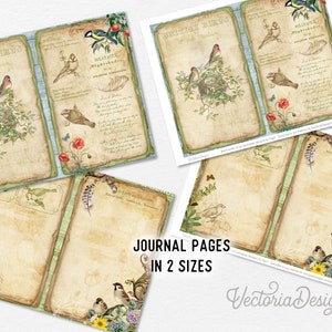 Birds of a Feather Junk Journal Kit, Printable Junk Journal Kit, Birds Junk Journal Birds Embellishments Birds Papers Craft kits DIY 002378 image 3