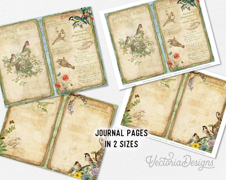 Birds of a Feather Junk Journal Kit, Printable Junk Journal Kit, Birds Junk Journal Birds Embellishments Birds Papers Craft kits DIY 002378 image 3
