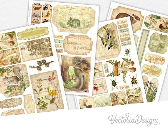 Back to Nature Embellishment Sheets, Junk Journal Printable, Digital Paper Crafting, Vintage Ephemera Pack, Scrapbook Supplies - 002707