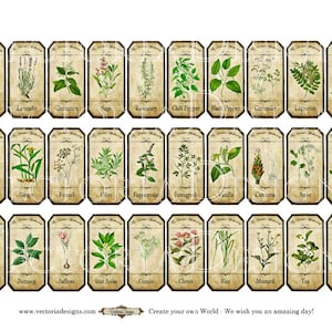 May include: Vintage style labels with illustrations of various herbs and spices, including chamomile, lavender, cinnamon, sage, rosemary, chilli pepper, black pepper, coriander, liquorice, thyme, ginger, fennel, olive, peppermint, fenugreek, vanilla, turmeric, anise, bay leaves, parsley, nutmeg, saffron, star anise, cumin, cloves, rice, mustard, tea, and cardamom.