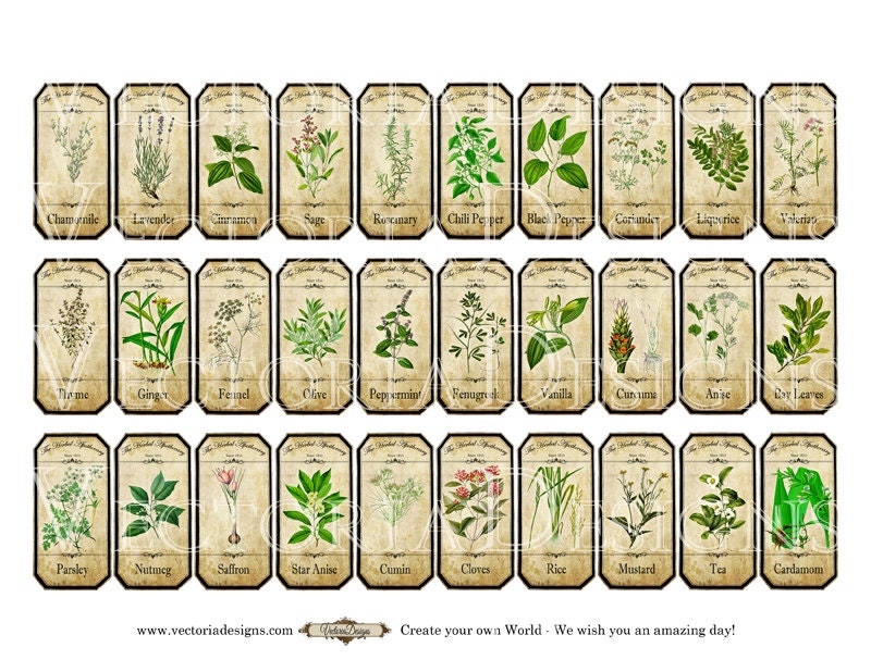 80 Spice Jar Labels 'sketch Leaf' digital Printable DIY Labels