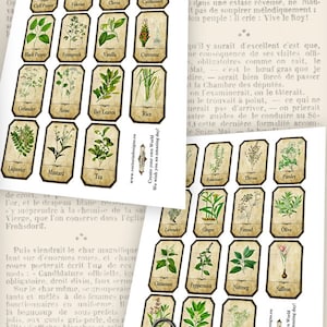 Herbs Apothecary Labels, Printable Labels, Spice Jar Labels, Herb Labels, Printable Images, Digital Collage Sheets, Herb Decoration 000612 image 3