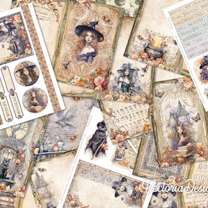 May include: A collection of vintage-style digital papers featuring witches, owls, potions, and other Halloween-themed imagery. The papers are decorated with intricate details and a distressed, aged look. The papers are perfect for scrapbooking, card making, and other crafting projects.