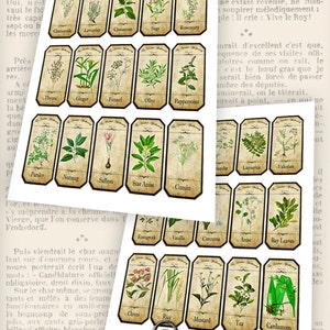 May include: Vintage-style herb and spice labels. Each label features a botanical illustration and the name of the herb or spice. The labels are arranged on a textured, aged background, with the text "The Victoria Designs Shoppe" at the top.