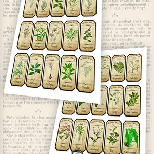 Herbal Apothecary Labels, Apothecary Bottle Labels, Spice Jar Labels, Herbal Labels, Digital Images, Apothecary Graphics, Potion 000519 image 4