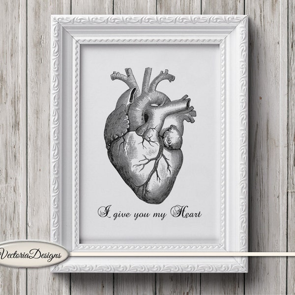 Anatomical Heart Printable, Monochrome Heart Illustration, Modern Wall Art For Canvas, Black And White Print, Digital Paper Craft Art 000887