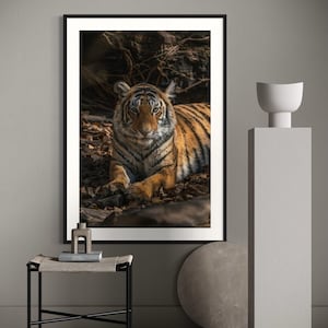 Könnte beinhalten: Gerahmter Druck eines Tigers mit orangefarbenen und schwarzen Streifen, der auf Blättern und Felsen ruht. Der Druck befindet sich in einem schwarzen Rahmen und wird in einem Raum mit neutral getönten Wänden ausgestellt.
