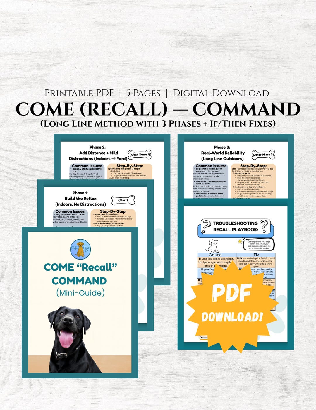 Dog Recall Training 
