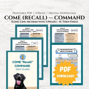 May include: A digital download featuring a dog training guide. The guide includes phases for recall training, troubleshooting, and a mini-guide. The cover displays a black Labrador Retriever. Text includes "COME (RECALL) - COMMAND" and "PDF DOWNLOAD!"