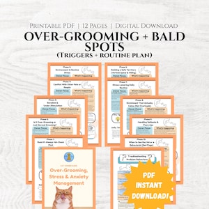 Stop overmatige verzorging van katten | Stress, kale plekken en triggers | Gids voor kattenangst en verrijking | Pdf