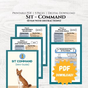 Sit Command Training for Dogs | Step-by-Step Positive Reinforcement Training + Common Mistakes | PDF
