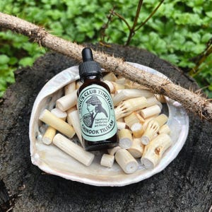 May include: A small brown tincture bottle with a black dropper sits in a large shell filled with light-colored wooden sticks. The bottle has a label that reads "Devil's Club Tincture" and "Chinook Tilixam". A thorny branch rests on the shell.