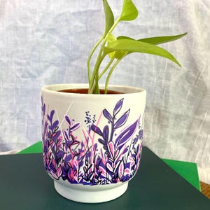 May include: A white ceramic plant pot with a colorful floral design in shades of purple and pink. The pot contains a green plant with long, pointed leaves. The pot has a wide base and a slightly flared rim.