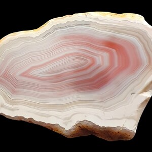 Puede incluir: Una rodaja de ágata pulida con bandas concéntricas de color blanco, crema y rosa suave. La piedra tiene una forma orgánica irregular con una superficie lisa y translúcida que muestra intrincados patrones minerales en capas por todo el centro.