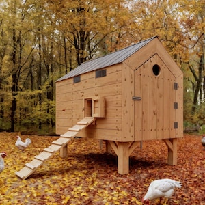 Planos modernos de gallinero aislado: PDF de gallinero DIY (10–12 gallinas), métrico & imperial