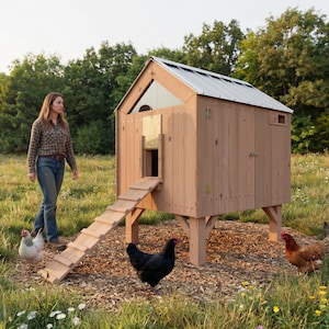 May include: A wooden chicken coop with a metal roof stands in a field. A woman in a plaid shirt and jeans walks nearby. Several chickens of various colors are in the foreground. The coop has a ramp and a small door.