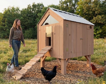 Łatwy w budowie projekt nowoczesnego kurnika | 6-8 kur | Instrukcja krok po kroku PDF | Jednostki metryczne i imperialne