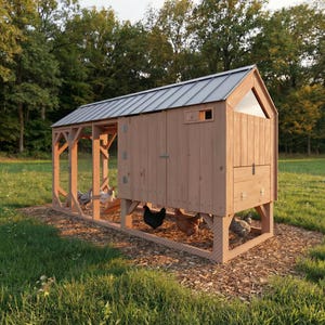 Puede incluir: Un gallinero de madera con techo de metal se encuentra en un campo cubierto de hierba. El gallinero tiene forma rectangular con techo inclinado y una pequeña ventana. Se ven varios pollos dentro y fuera del gallinero.