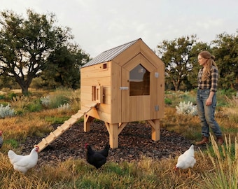 May include: A wooden chicken coop with a metal roof, a ramp, and a window. Several chickens of different colors are in the foreground. A person wearing a plaid shirt and jeans stands nearby in a grassy field.