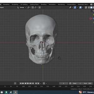 May include: A 3D digital model of a human skull displayed in the Blender 5.0.1 software interface. The grey skull is centred on a dark grid background, surrounded by various toolbars, property panels, and transform settings for 3D editing.