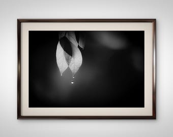 Digital Download