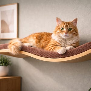 May include: An orange tabby cat with green eyes rests on a wooden cat shelf with a brown cushion. The shelf is mounted on a light gray wall. A framed picture and decorative plants are in the background.
