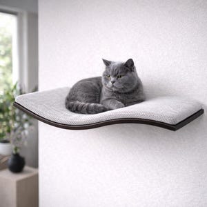 Può includere: Un gatto grigio riposa su una mensola per gatti montata a parete. La mensola ha un cuscino grigio chiaro e strutturato con una cornice in legno curva marrone scuro. Il gatto è di colore grigio uniforme con occhi gialli.
