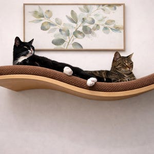 May include: A wooden cat shelf with a brown cushion, holding two cats. One cat is black with white markings, the other is a tabby. A framed botanical print hangs above the shelf, creating a cozy cat-friendly space.