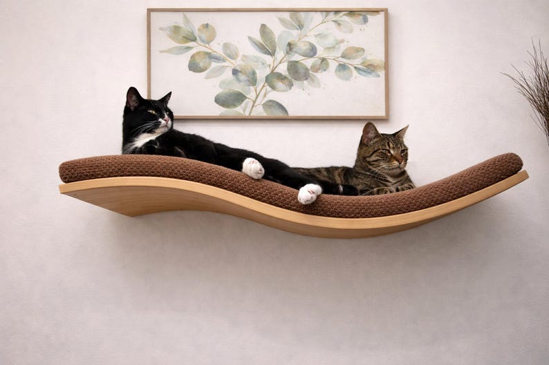 May include: A wooden cat shelf with a brown cushion, holding two cats. One cat is black with white markings, the other is a tabby. A framed botanical print hangs above the shelf, creating a cozy cat-friendly space.