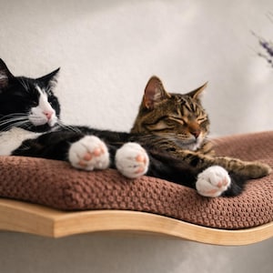 May include: Two cats relaxing on a brown, curved cat shelf. One cat is black and white, the other is brown tabby. The shelf is made of wood and has a textured, knitted cushion. A vase of purple flowers is in the background.