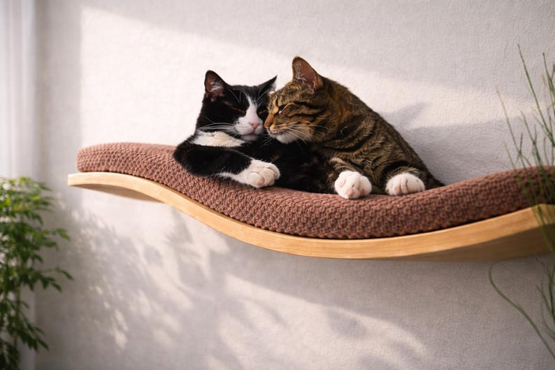 May include: Two cats, one black and white, the other brown tabby, rest on a curved, wall-mounted cat shelf. The shelf has a brown, textured cushion and a light wood frame. The cats are nestled together, creating a cozy scene.