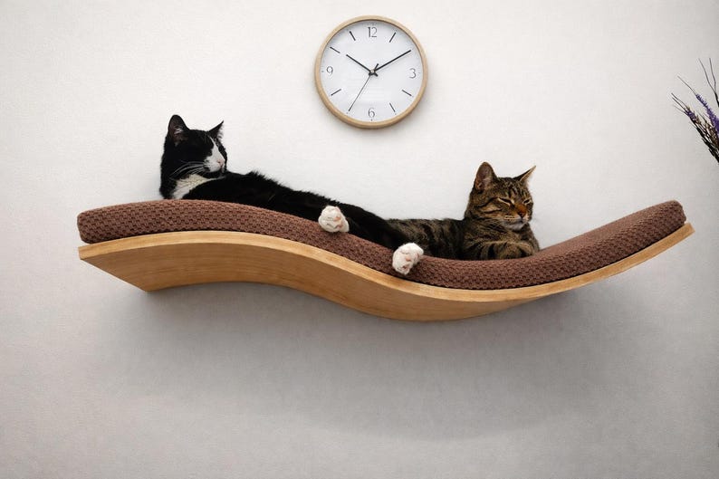 May include: A wooden cat shelf with a brown cushion, mounted on a white wall. Two cats are lounging on the shelf. One cat is black and white, and the other is brown tabby. A round clock hangs above the shelf.