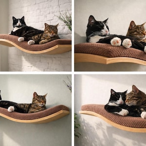 May include: Four images of cats resting on a wall-mounted cat shelf. The shelf has a curved wooden frame and a brown, textured cushion. The cats are black and white, and tabby, in various poses, including lounging and cuddling.