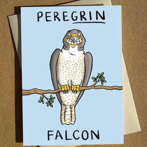 Jeu de mots oiseau de proie A6 - Carte d'anniversaire observation des oiseaux