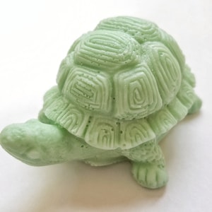 May include: A small, green turtle figurine with a detailed shell. The turtle is made of a smooth, solid material and has a realistic appearance.
