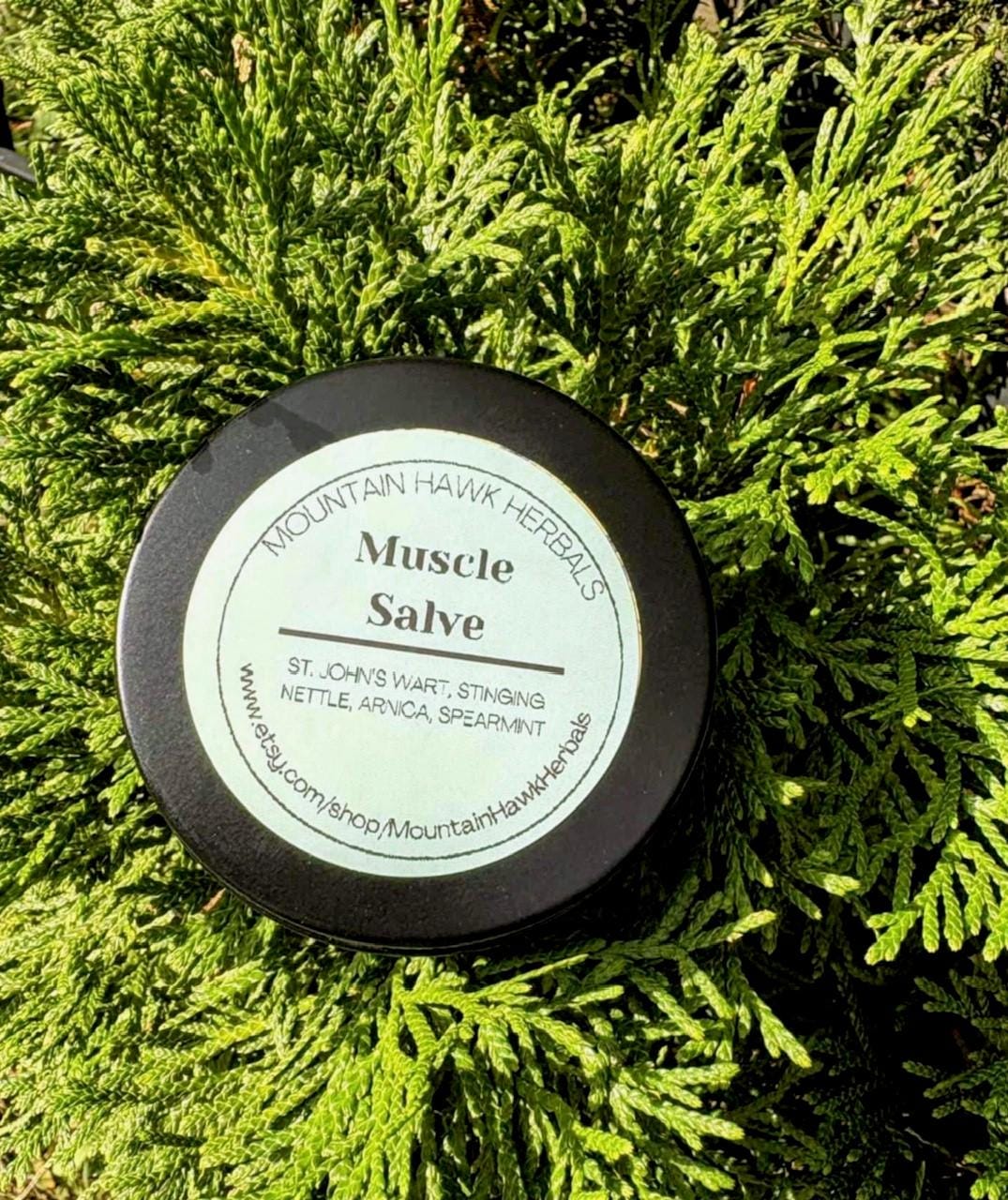 Muscle Salve: Arnica, St. John's Wort & Spearmint