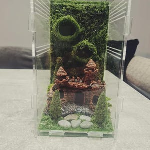Vivarium/ tank inverts