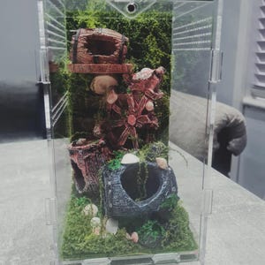 Vivarium Tank bugs/invert