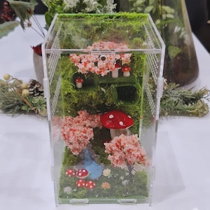 Vivarium tank bugs insect