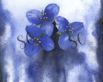 BLUE FLOWER by Campitelli Instant Download Printable Wall Art artwork Watercolor
