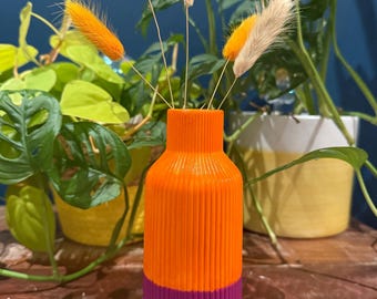 Könnte beinhalten: Eine orange-violette Vase mit vertikalen Rillen, die Trockenblumen enthält. Die zylindrische Vase steht auf einer kleinen Holzscheibe. Im Hintergrund grüne Pflanzen und eine dunkelblaue Wand.