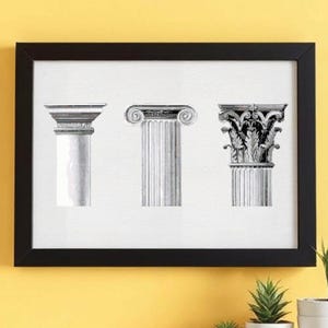 以下が含まれることがあります： 黒いフレームに入った、白黒のクラシックな柱の3つの詳細なイラスト。柱はさまざまな建築様式を示しています。プリントは、植木鉢に入った植物が置かれた白い棚の上にある黄色の壁に掛けられています。