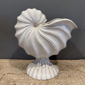 May include: A glossy off-white ceramic vase shaped like a nautilus shell. The piece features a spiraling, ribbed design that transitions into a wide, open top. It stands on a circular, fluted base with textured, root-like detailing.