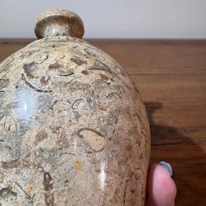 K&ouml;nnte beinhalten: Eine beige Steinflasche mit rundem K&ouml;rper und kleinem, rundem Verschluss. Die Oberfl&auml;che der Flasche weist ein gesprenkeltes Muster aus Beige, Braun und Grau mit sichtbaren, fossilartigen Einschl&uuml;ssen auf. Die Flasche ist wahrscheinlich ein Dekorationsartikel.